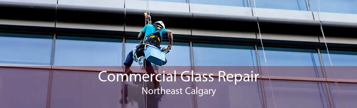 Commercial Glass Repair Northeast Calgary
