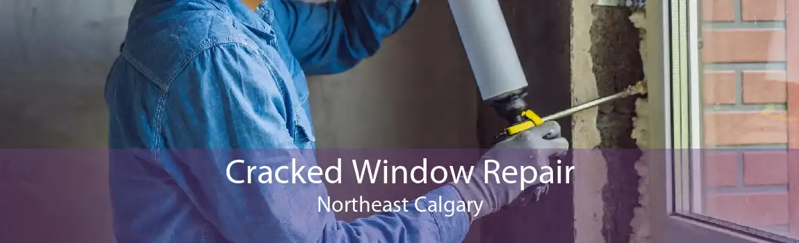 Cracked Window Repair Northeast Calgary
