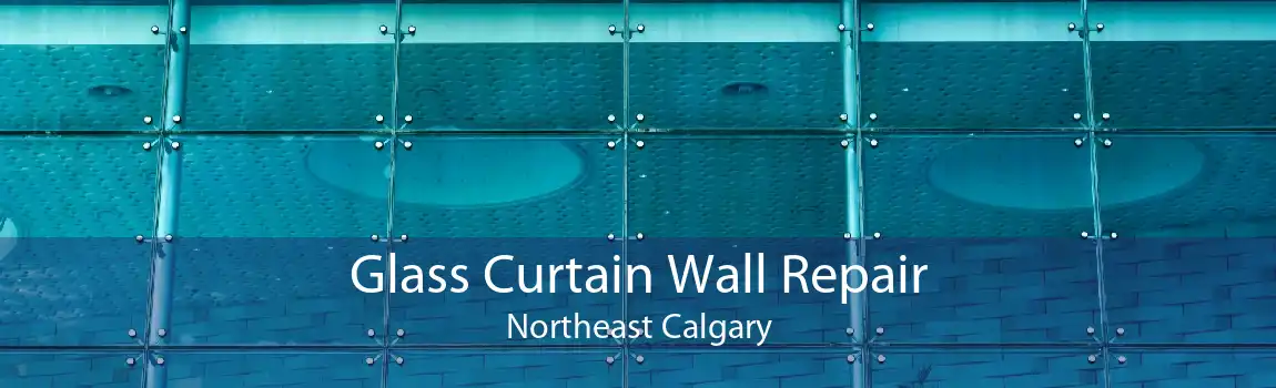 Glass Curtain Wall Repair Northeast Calgary