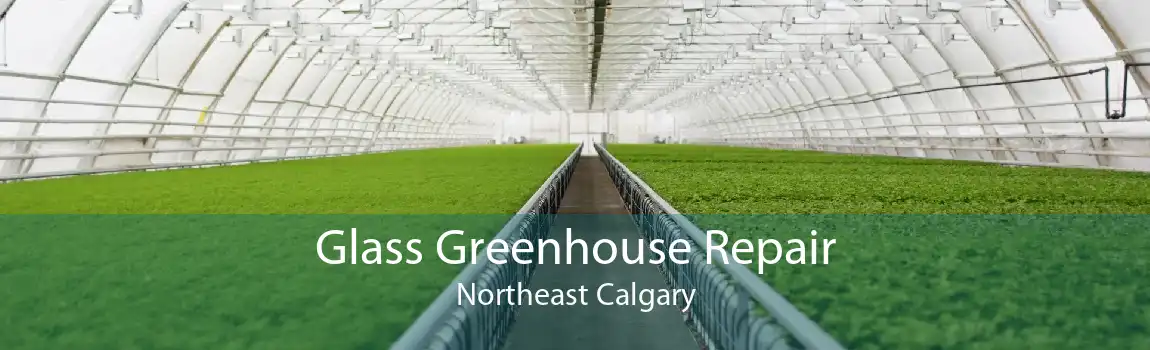 Glass Greenhouse Repair Northeast Calgary