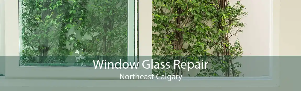 Window Glass Repair Northeast Calgary