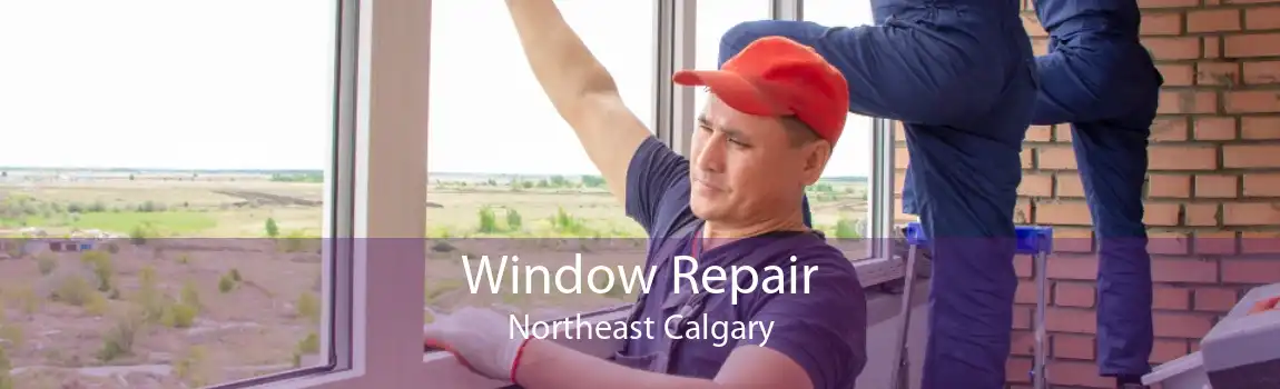 Window Repair Northeast Calgary