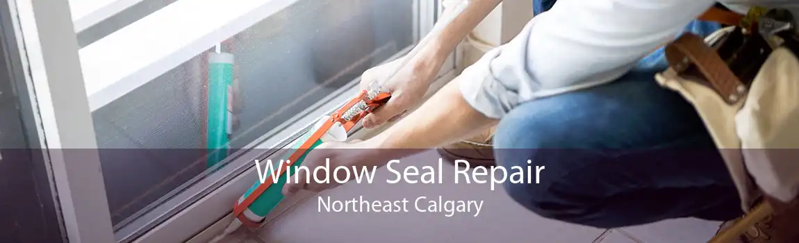 Window Seal Repair Northeast Calgary